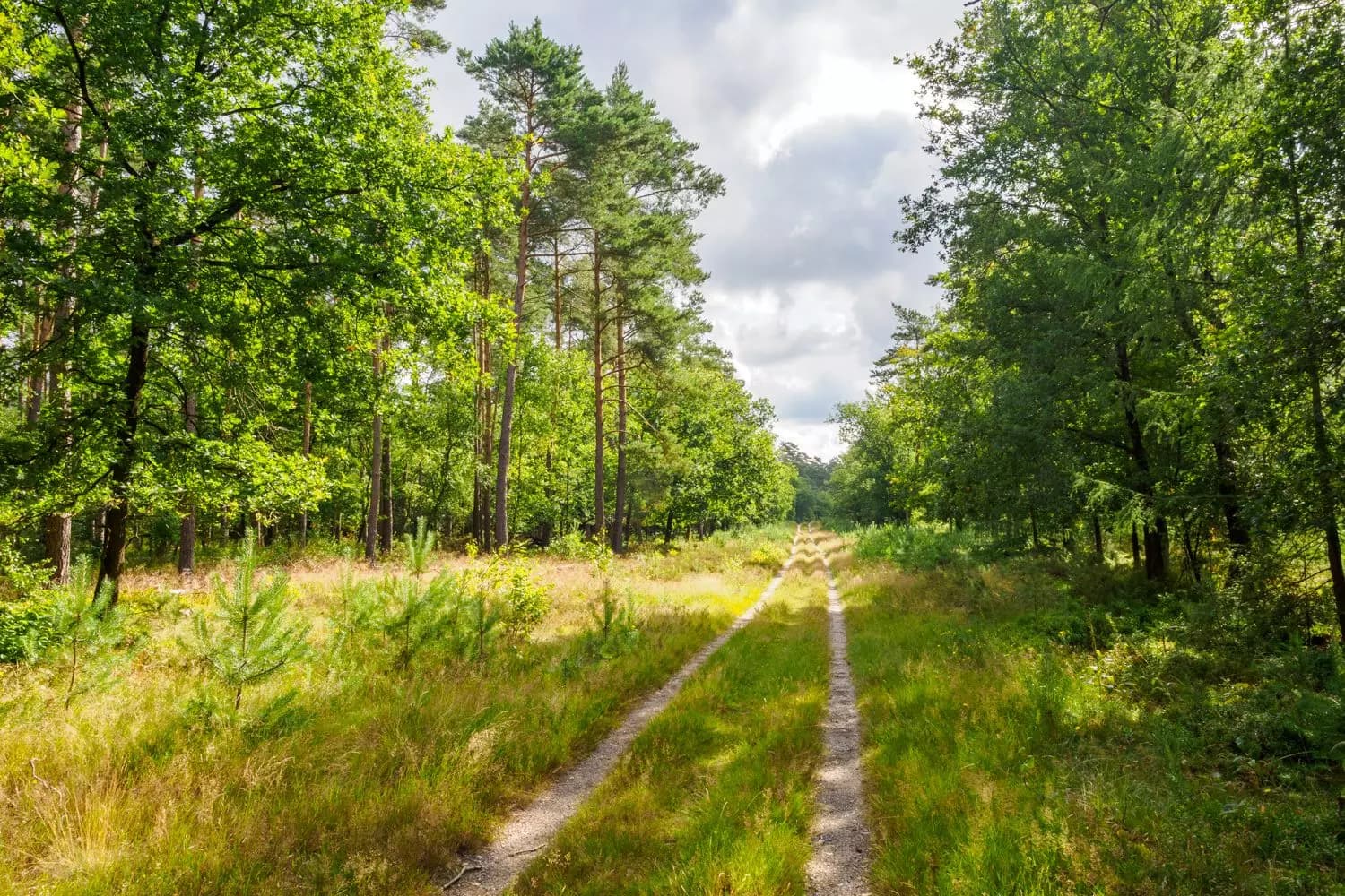 Wandelen op de Veluwe en dineren bij De Boerenschuur